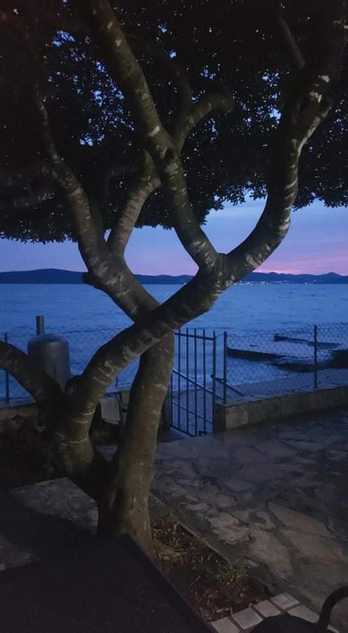Apartman Andrija Bibinje Exteriör bild